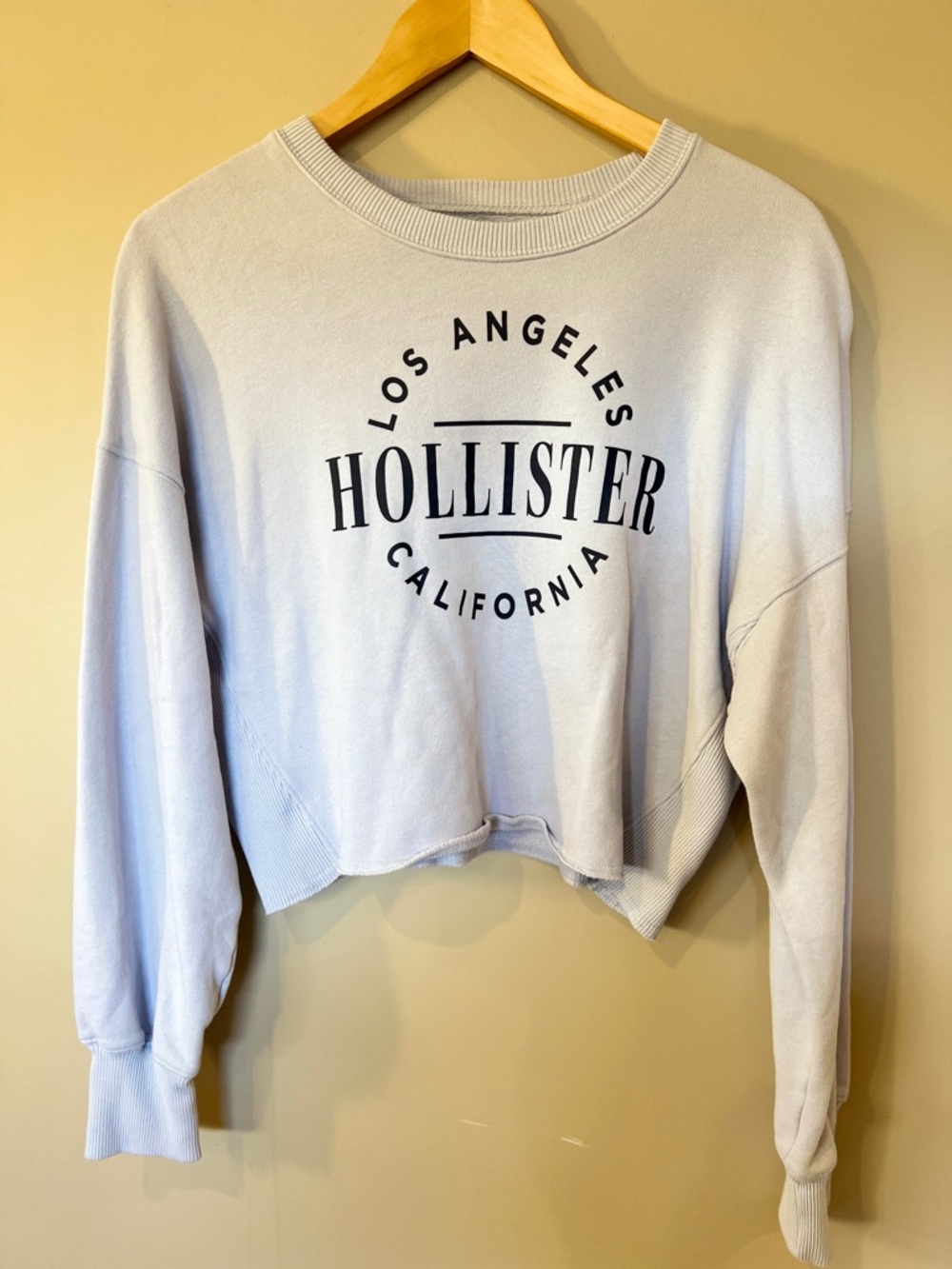 Hollister Light Blue Cropped Los Angeles Sweatshirt